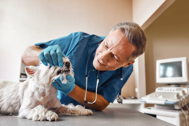 Best Emergency Tooth Extraction in Tiffin, IA